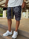 Paisley Mesh Shorts - Black