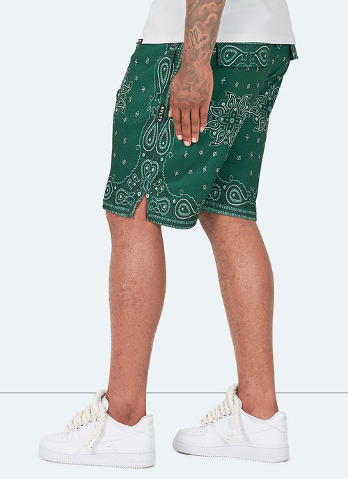 Paisley Mesh Shorts - Green