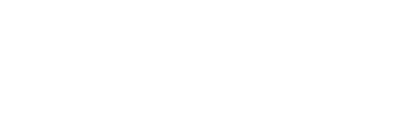 N V L T Y